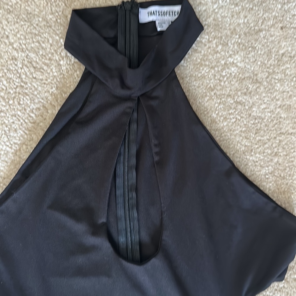 Thatssofetch Dress - image 3